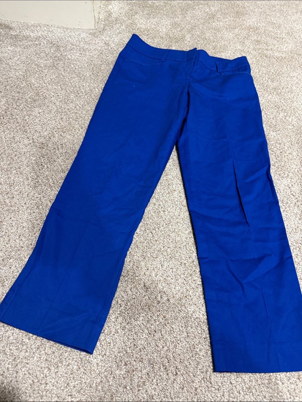Avenue Cobalt Wide-Leg Pants